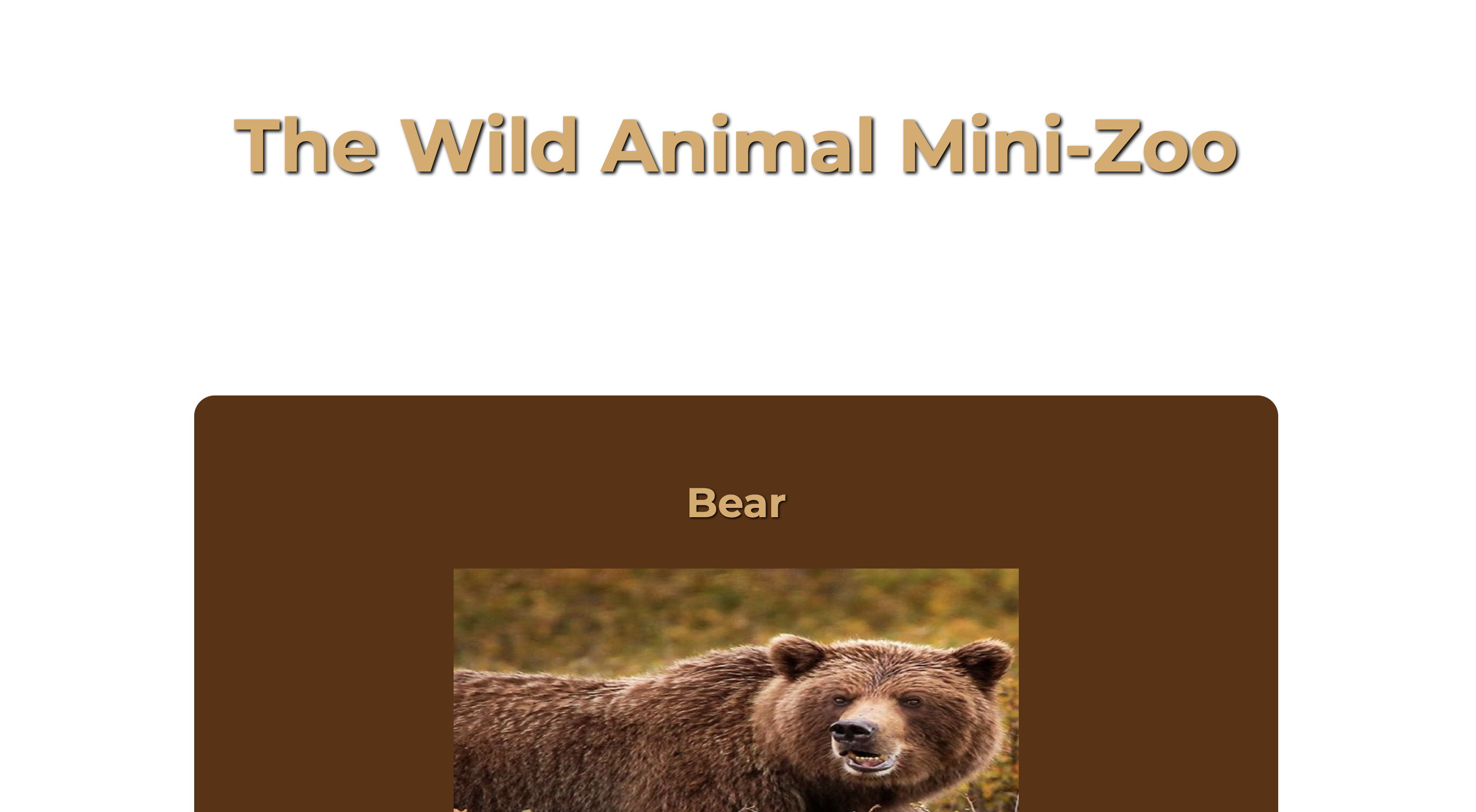 zoo