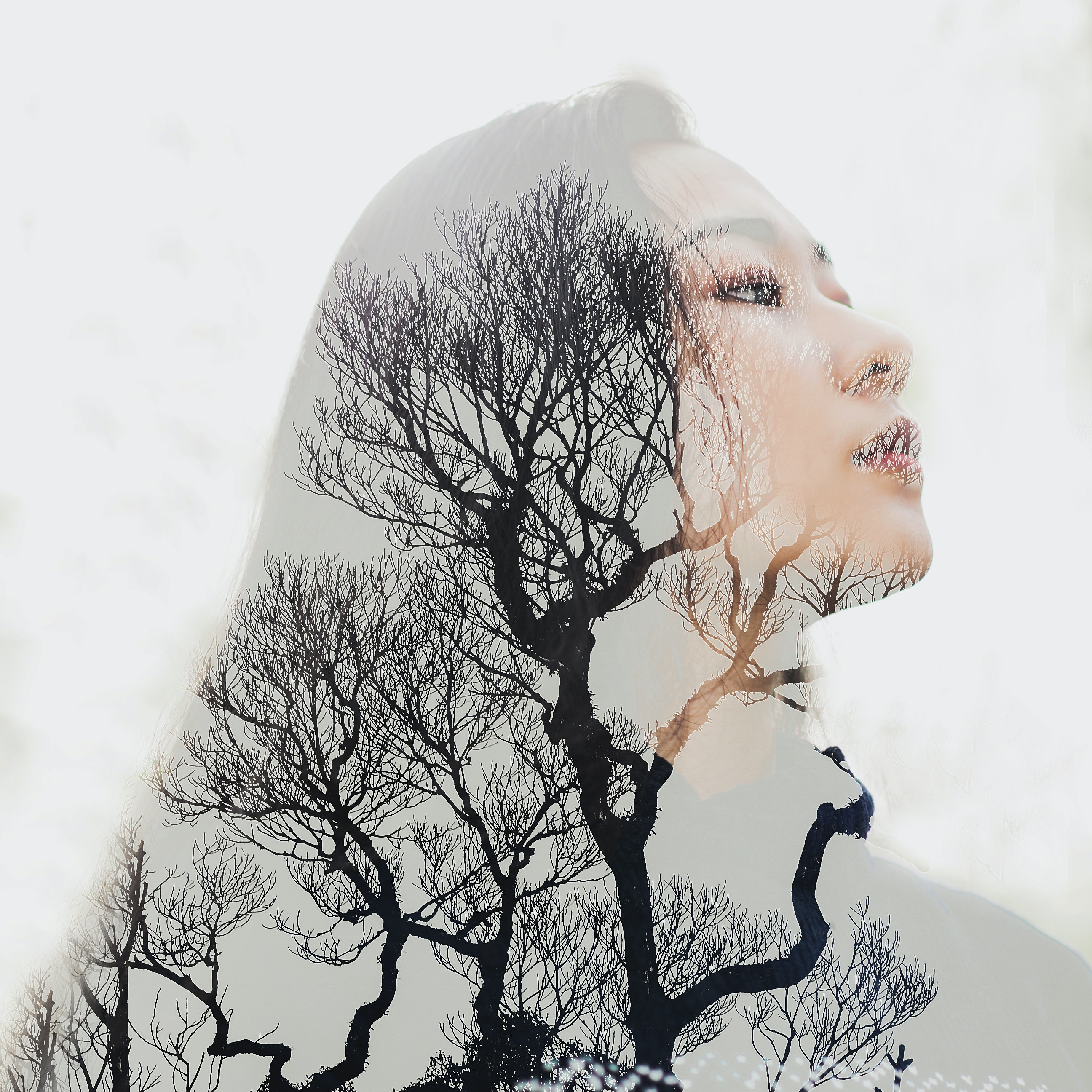 Top Art